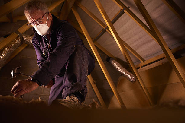 Best Insulation Maintenance and Repair in Vail, AZ